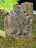 image of grave number 709503
